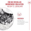 Royal Canin Ageing 15+ in Soße 12x85 g - 1.020 g