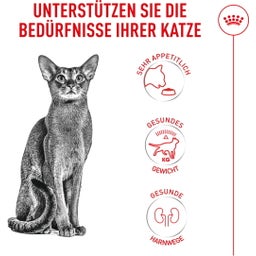 Royal Canin Fussy Exigent - 400 g