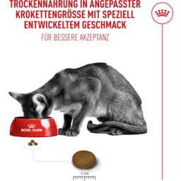 Royal Canin Fussy Exigent - 400 g