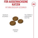 Royal Canin Fussy Exigent - 400 g