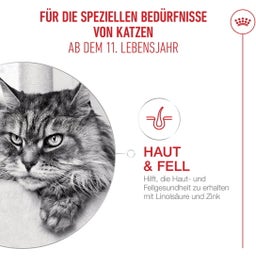 Royal Canin Ageing 11+ - 400 g