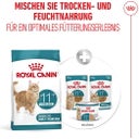 Royal Canin Ageing Sterilised 11+ - 400 g