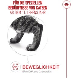 Royal Canin Ageing 11+ in Soße 12x85 g - 1.020 g
