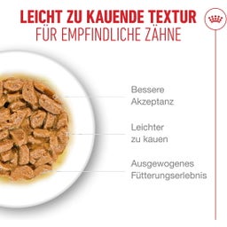 Royal Canin Ageing 11+ in Soße 12x85 g - 1.020 g
