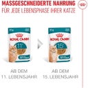 Royal Canin Ageing 11+ in Soße 12x85 g - 1.020 g