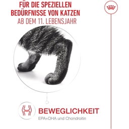 Royal Canin Ageing 11+ in Gelee 12x85 g - 1.020 g