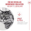 Royal Canin Ageing 11+ in Gelee 12x85 g - 1.020 g