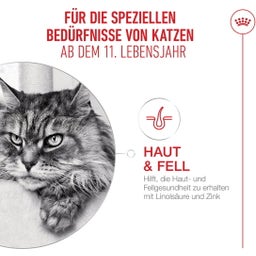 Royal Canin Ageing 11+ in Gelee 12x85 g - 1.020 g