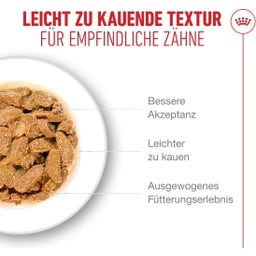 Royal Canin Ageing 11+ in Gelee 12x85 g - 1.020 g