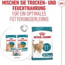 Royal Canin Ageing 11+ in Gelee 12x85 g - 1.020 g