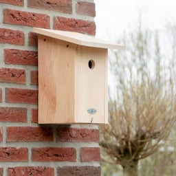 Esschert Design Nido Artificiale - Cinciallegra - 1 pz.