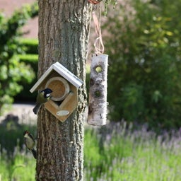 Esschert Design Pindakaas voor Vogels - 350 g