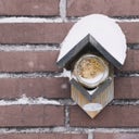 Esschert Design Pindakaas voor Vogels - 350 g