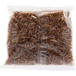 Esschert Design Vers de Farine Séchés - 125 g