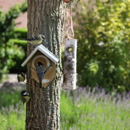 Esschert Design Erdnussbutterhaus - 1 Stk