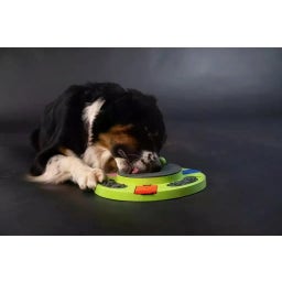 Eat Slow Live Longer - Puzzle - Circle