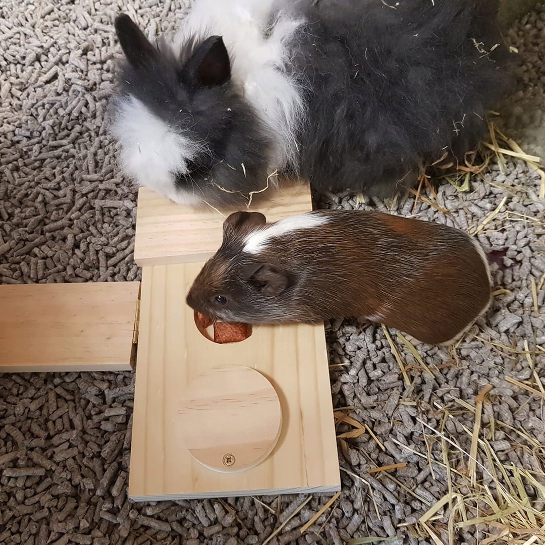 Duvoplus Holz Sniffle `n snack puzzle - Dan