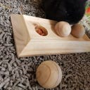 Duvoplus Houten Sniffle 'n Snack Puzzle - Fay
