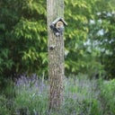 Esschert Design Vogelhuisje 