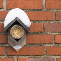 Esschert Design Vogelhuisje 