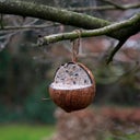 Esschert Design Vogelvoer - Gevulde Kokosnoot
