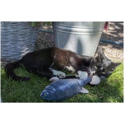 Robocat Jouet Électronique pour Chats – Poisson - Carpe