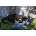 Robocat Fisch - Goldfisch