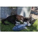 Robocat Fisch - Goldfisch