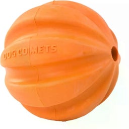 Dog Comets Swift Tuttle - Orange - Brez vrvi