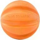 Dog Comets Swift Tuttle Orange - Senza corda