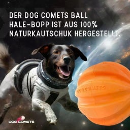 Dog Comets Swift Tuttle Orange - Ohne Seil