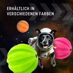 Dog Comets Swift Tuttle Orange - Ohne Seil