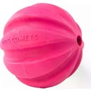 Dog Comets Halley Rosa - Ohne Seil