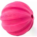 Dog Comets Halley Rosa - Senza corda