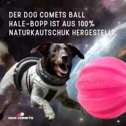 Dog Comets Halley Rosa - Ohne Seil