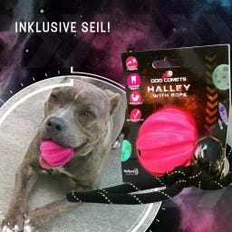 Dog Comets Halley Rosa - Mit Seil