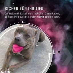Dog Comets Halley Rosa - Ohne Seil