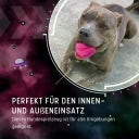 Dog Comets Halley Rosa - Ohne Seil