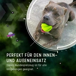 Dog Comets Hale Bopp Grün - Ohne Seil