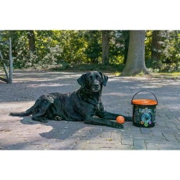 Meteor Shower (Bucket with 6 M Stardust Play Balls) - 1 item