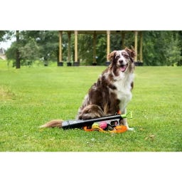 Dog Comets Comet Launcher (Spara-Palline) - 1 pz.