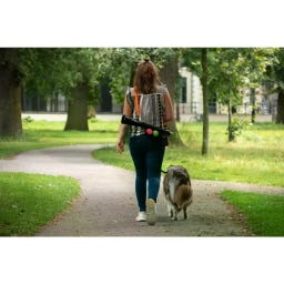 Dog Comets Comet Launcher (Balwerper) - 1 stuk