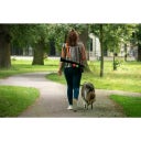 Dog Comets Comet Launcher (Balwerper) - 1 stuk