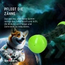 Dog Comets Meteor Wurfstock Grün - S