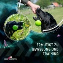 Dog Comets Meteor Wurfstock Grün - S