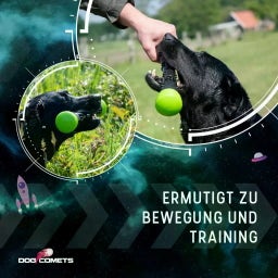 Dog Comets Meteor Wurfstock Grün - S