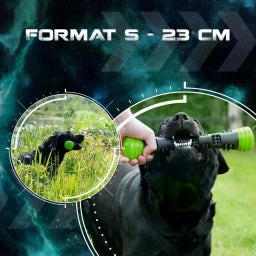 Dog Comets Meteor Wurfstock Grün - S