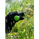 Dog Comets Meteor Fetch Stick Green - L