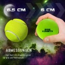 Dog Comets Stardust Grün - M