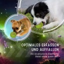 Dog Comets Stardust Grün - M